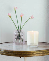 Ecoya Candle Cedarwood & Leather